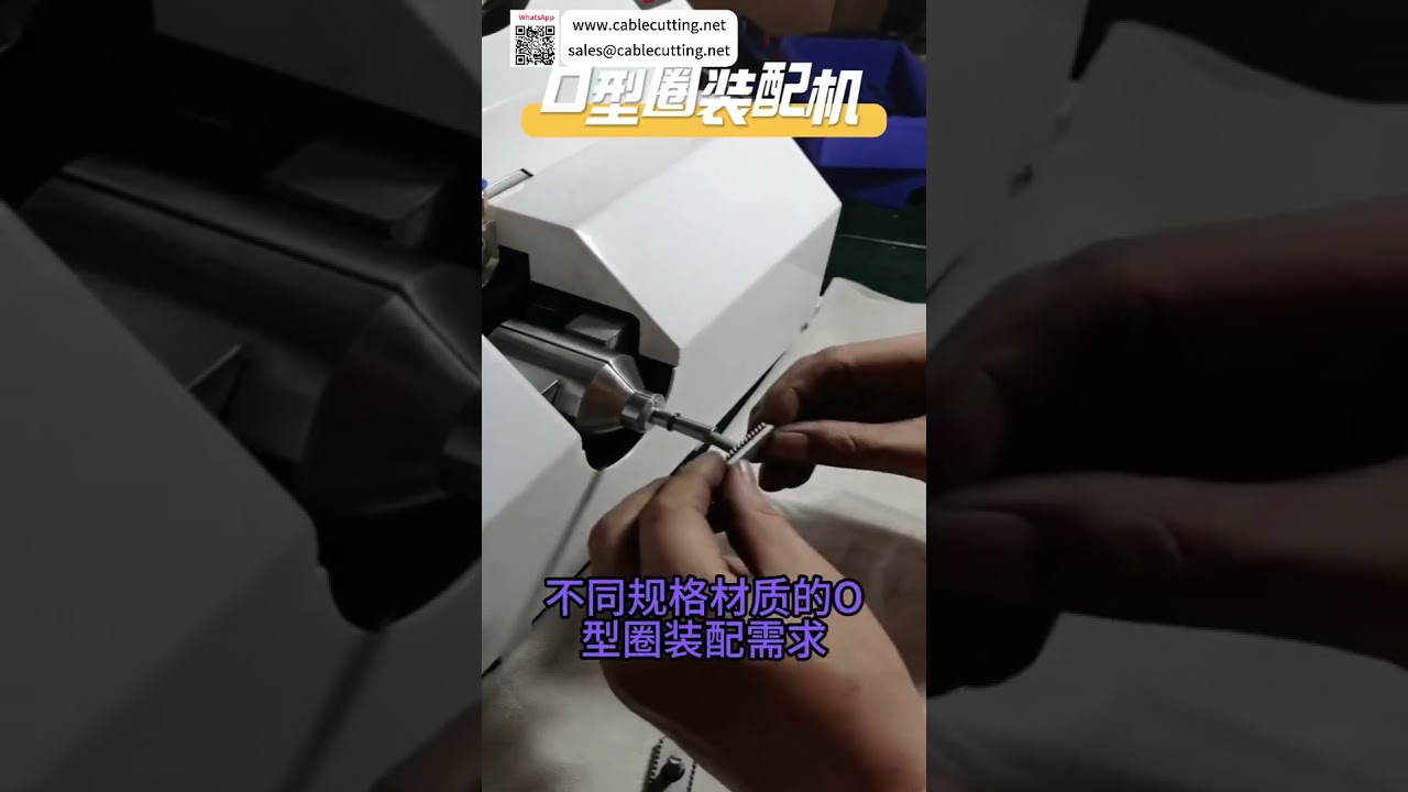 High Efficiency O Ring Assembly Machine Fast Automated Sealing Production Equipment Line - Shorts