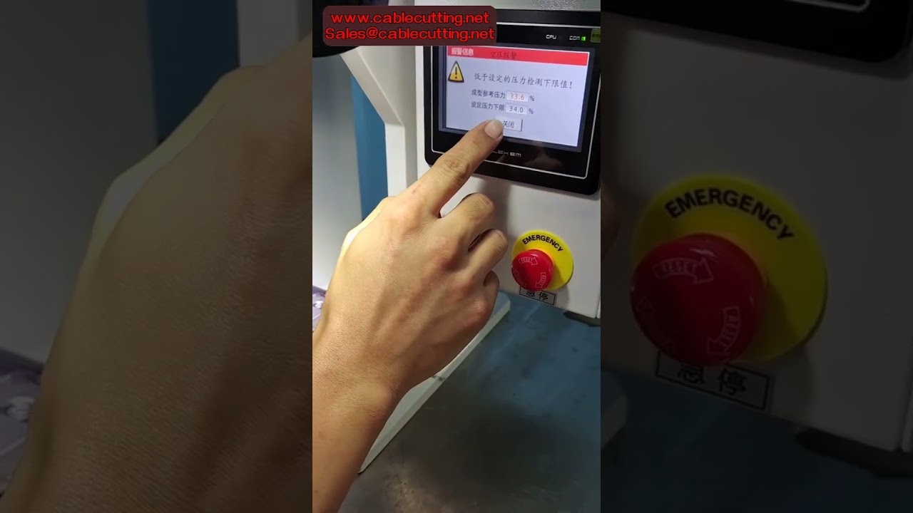 Automatic Adjustable 30MM 40MM Work Stroke Servo Terminal Crimping Machine