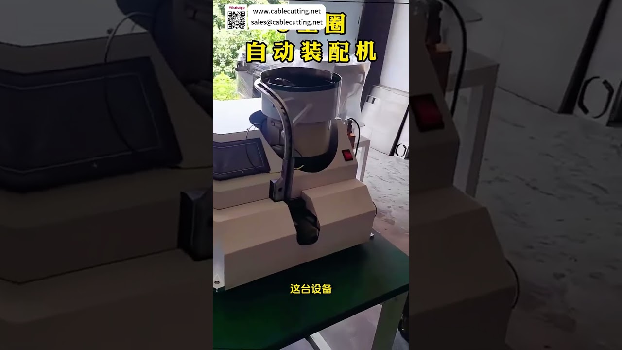 Custom Circlip Assembly Equipment Provider High Quality Automated Industrial Machinery Line - Shorts