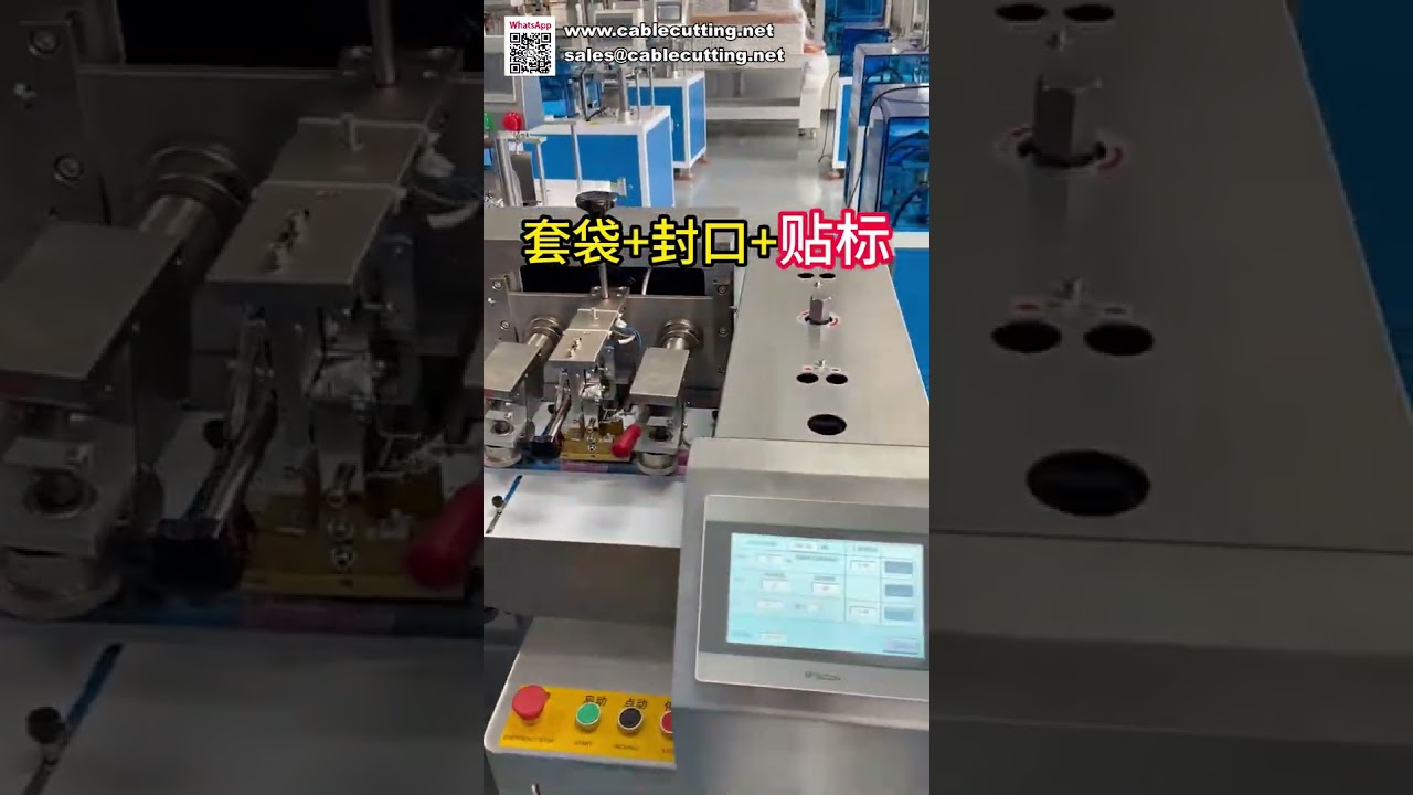 Automatic Packaging Solution Bagging Sealing and Labeling Machine All in One Packaging System