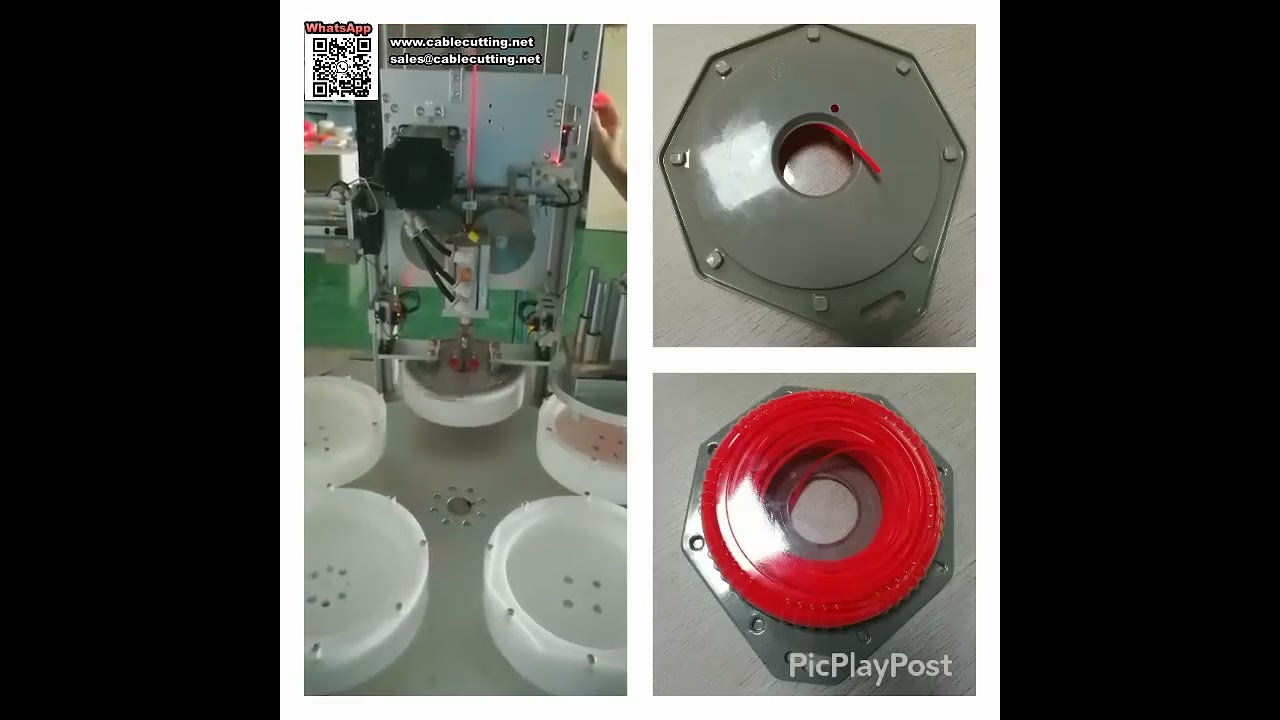 Fully Automatic Snap Blister Winding Machine Engineered for Trimmer Line Packaging - Shorts