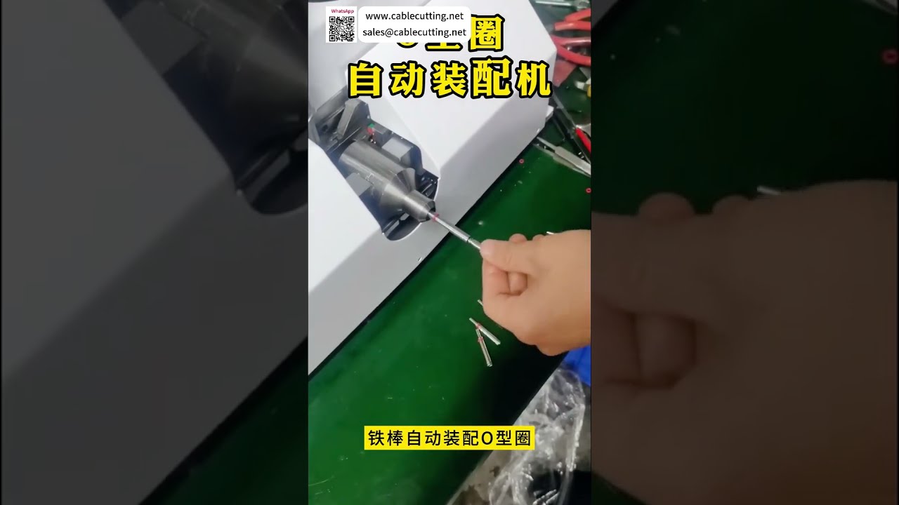 KRS 604 Automatic O Ring Assembly Machine Affordable High Precision Sealing Machinery - Shorts