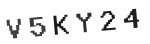 Verification Code Image