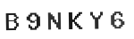 Verification Code Image