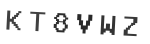 Verification Code Image
