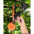 Agricultural tomato branch binding machine Vine seedling Grape cucumber Garden Branch/twig/Vine Tying machine